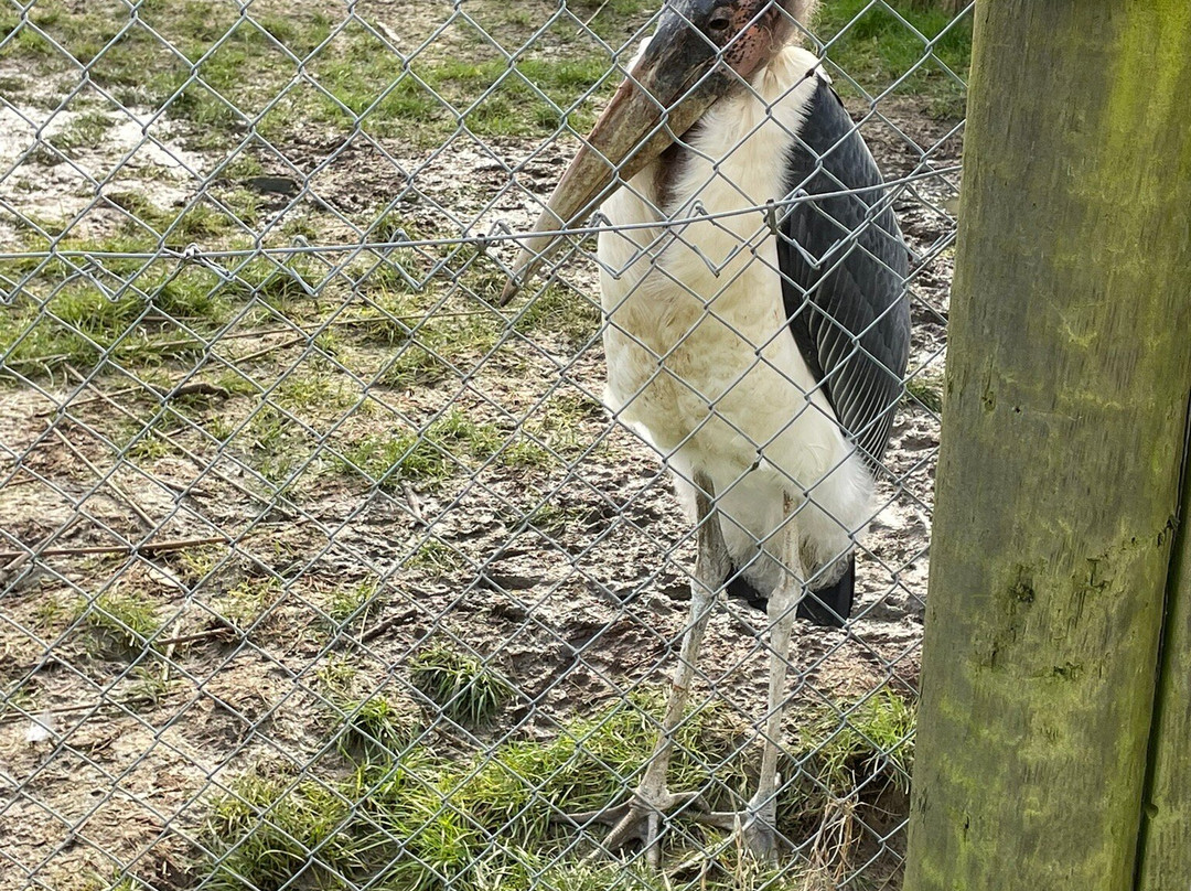 Hamerton Zoo Park-Sawtry必去景点