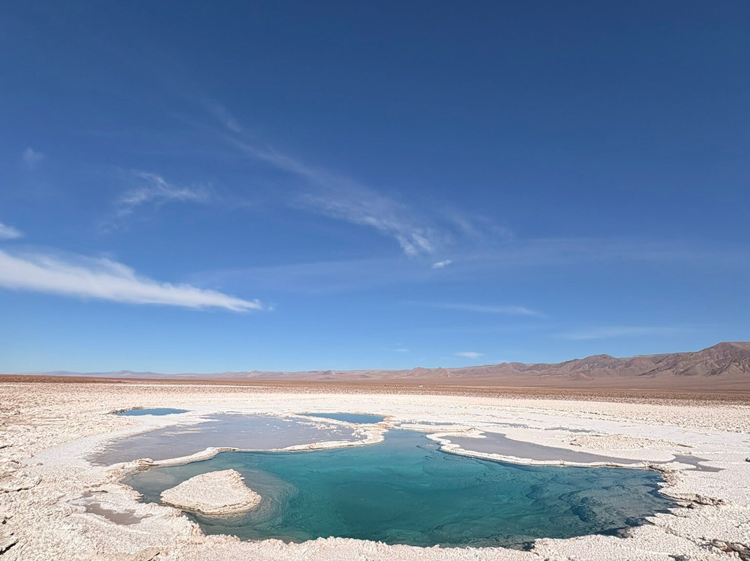 Lagunas Baltinache-圣佩德罗-德阿塔卡马必去景点