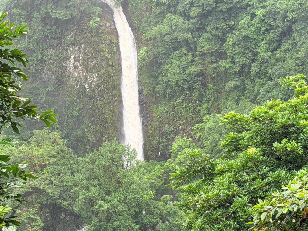 La Fortuna Waterfall-福德圣卡洛斯必去景点