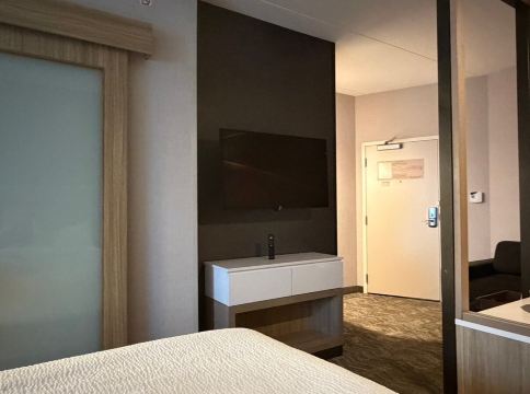 辛辛那提布鲁艾施SpringHill Suites酒店-旅行者
