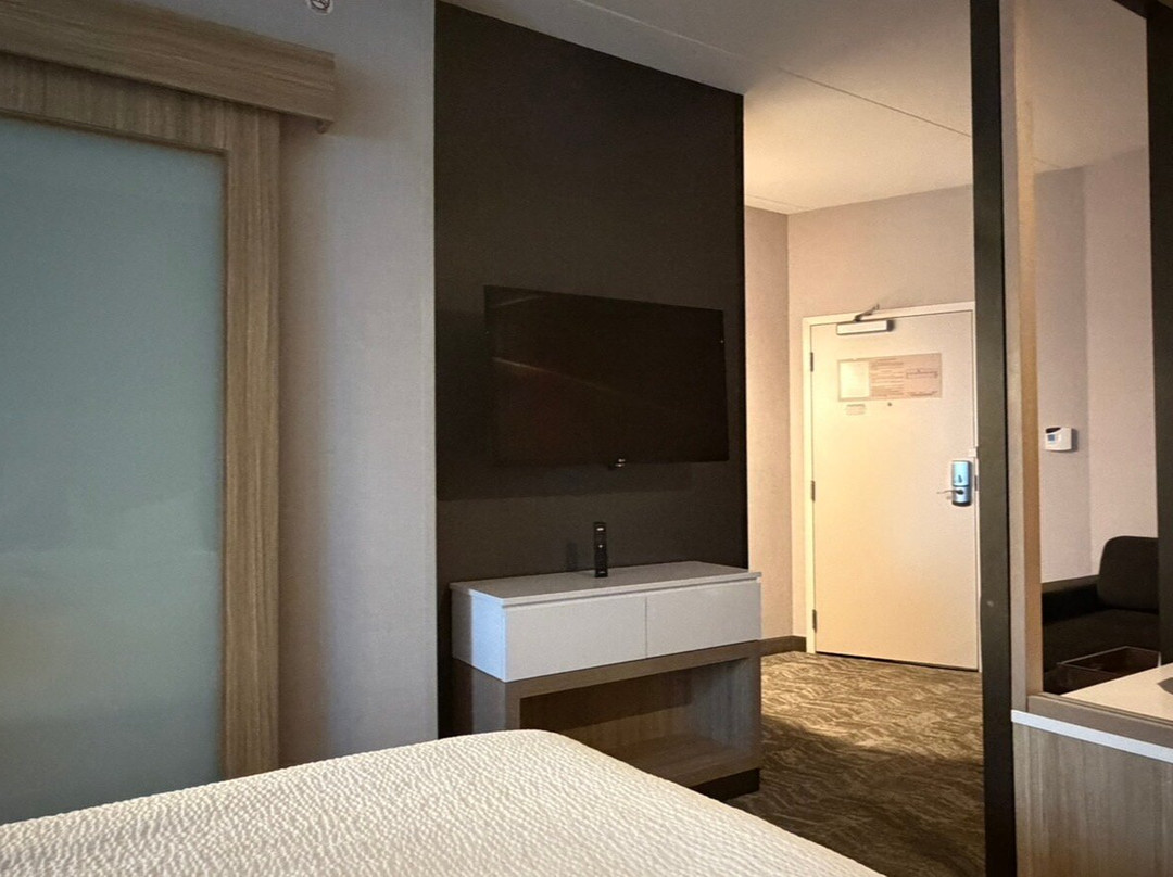 辛辛那提布鲁艾施SpringHill Suites酒店主图