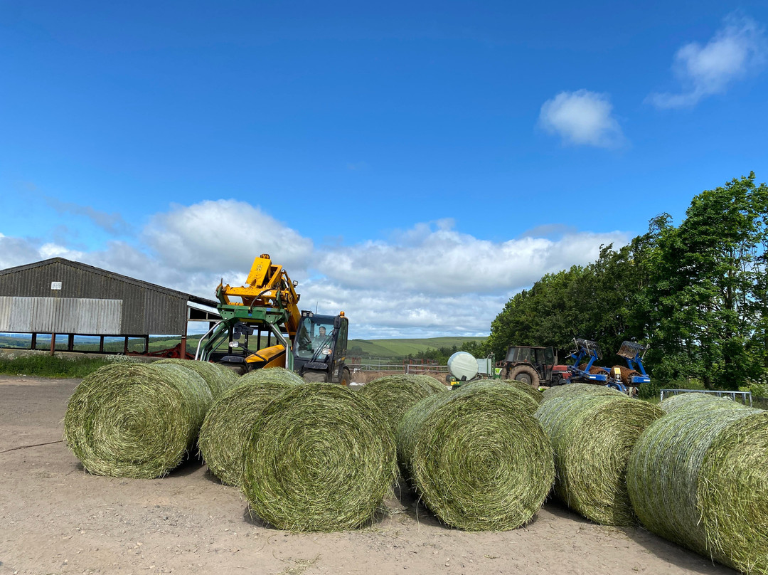Bairnkine Farm Tours-Jedburgh必去景点