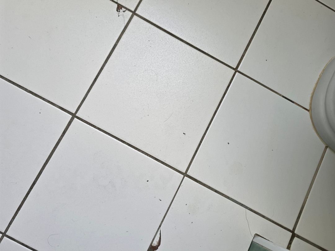 皇家诺福克酒店主图