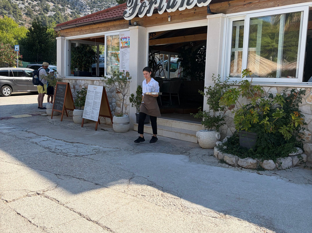 弗图纳酒店主图