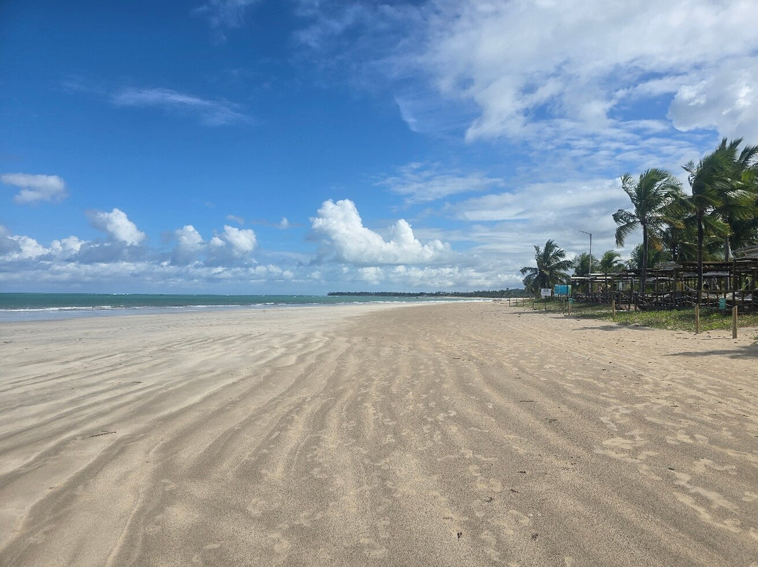 Hibiscus Beach Club-Maceio必去景点