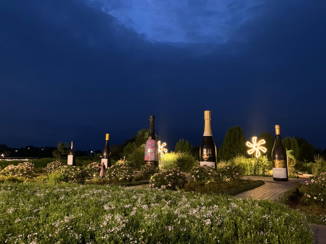 Sula Vineyards-纳西克必去景点