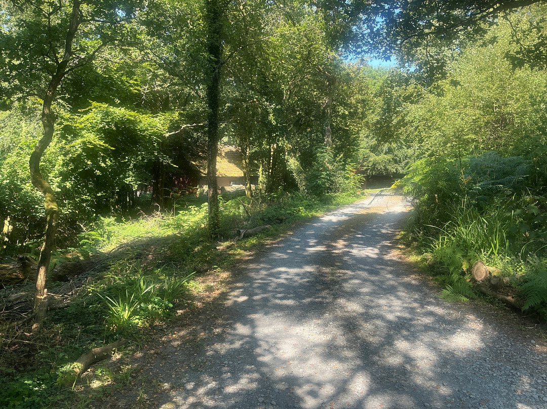 Kaowood Country Park主图