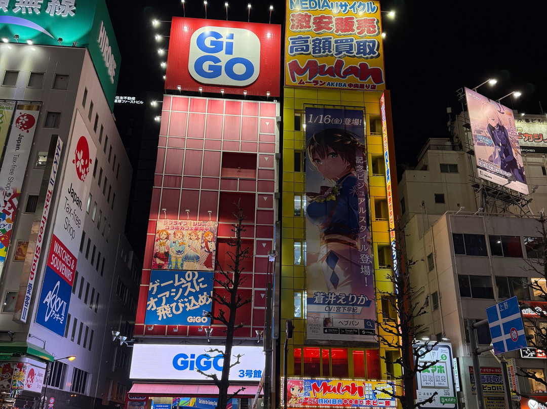 秋叶原-千代田区必去景点
