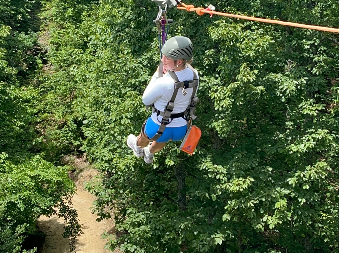 Smoky Mountain Ziplines-皮金福奇必去景点