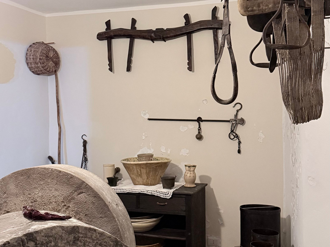 Amoreolio Museo dell'olio di Colobraro-Colobraro必去景点