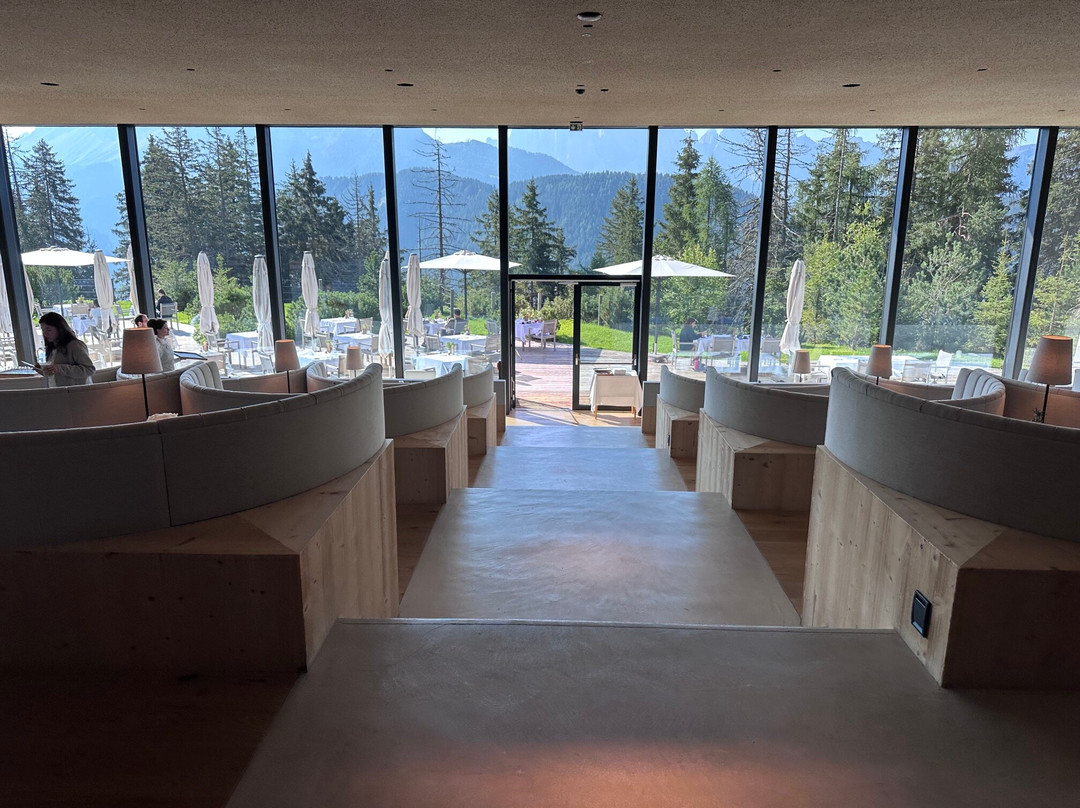福雷斯蒂斯酒店Forestis Dolomites（意大利）主图