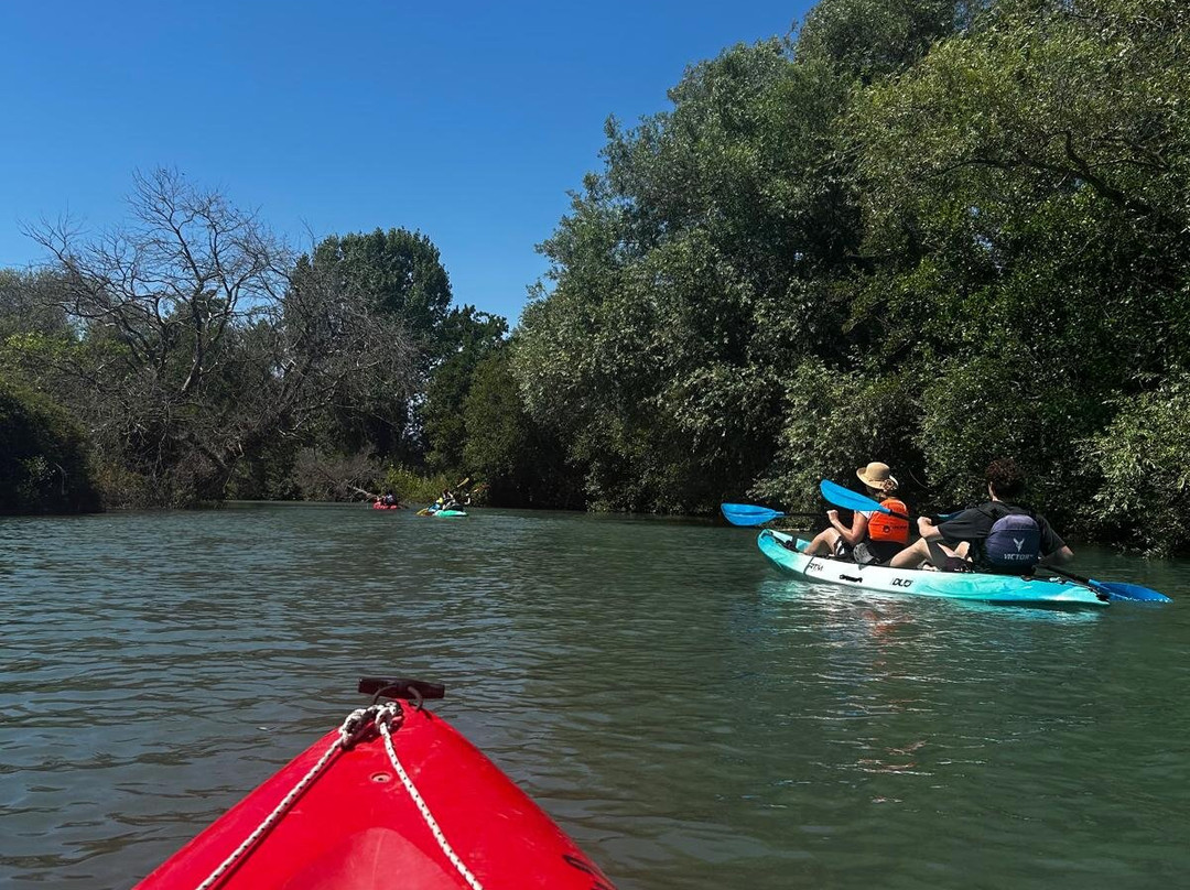Dragonfly Kayak: The Acheron Experience-Ammoudia必去景点
