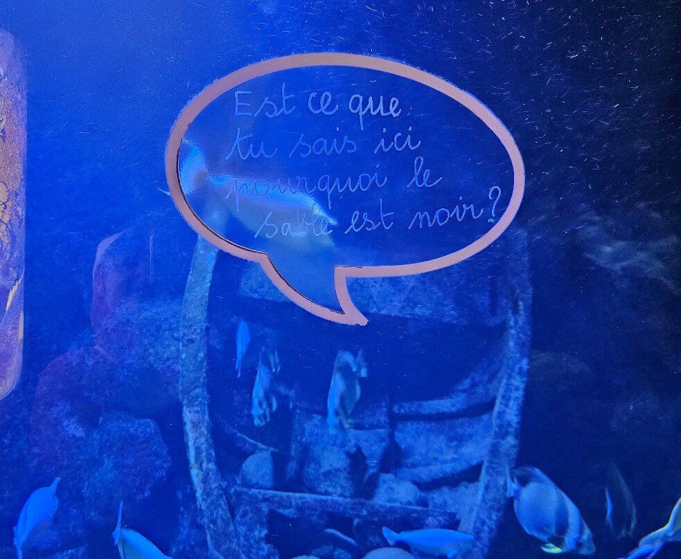 Aquarium de la Réunion-圣吉尔莱班必去景点