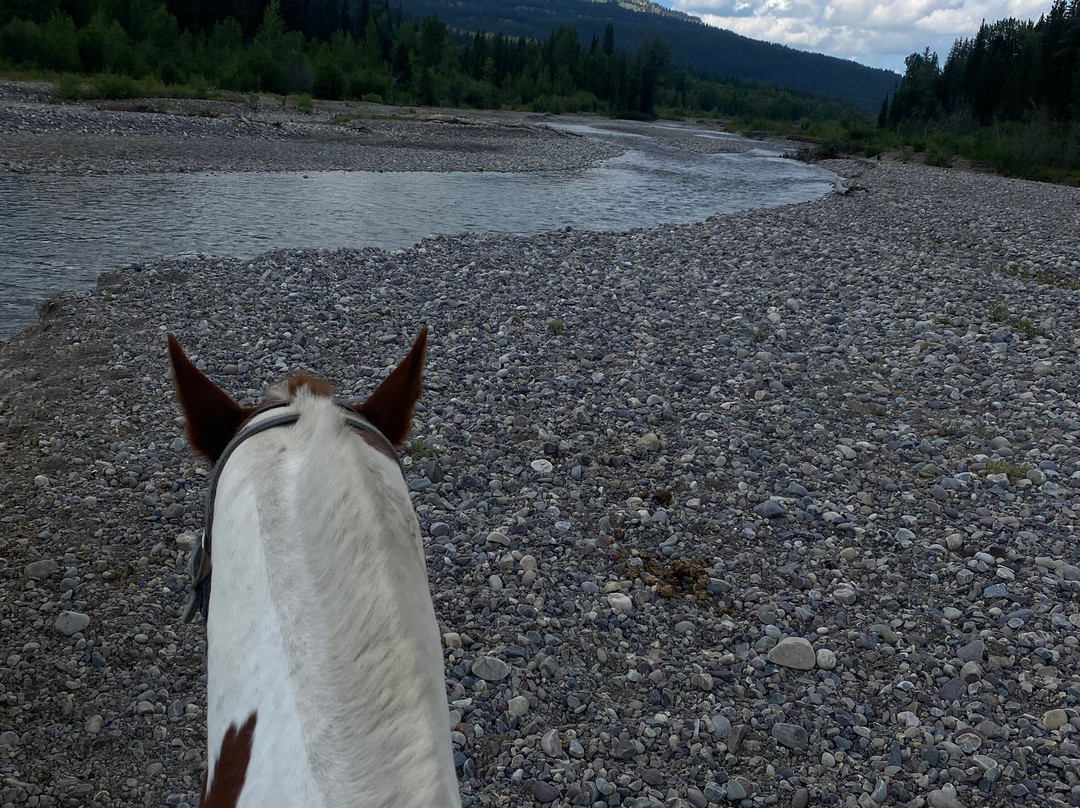 Swift Creek Outfitters & Teton Horseback Adventures-莫兰必去景点