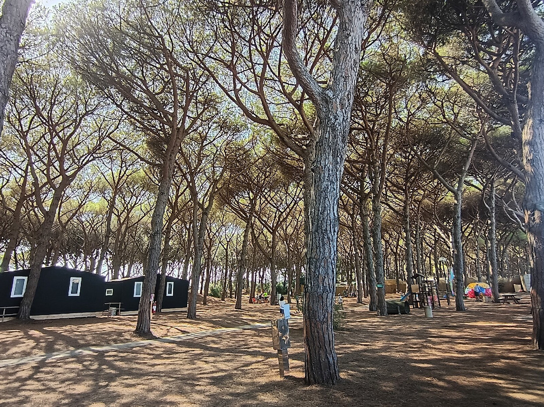 Golfo di Maremma Village主图