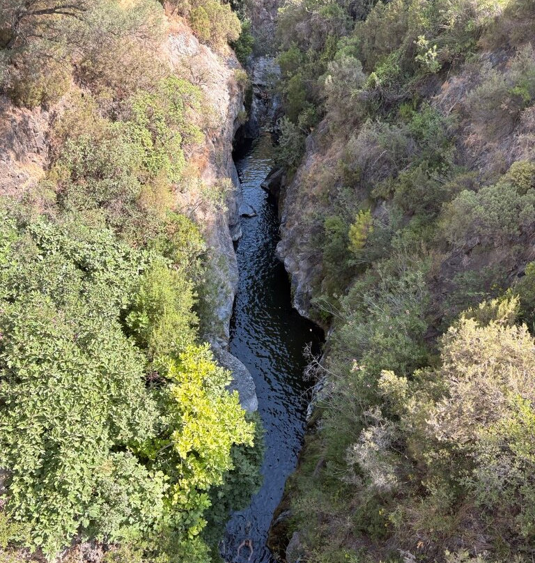 Acequica del Guadalmina Trail-Benahavis必去景点