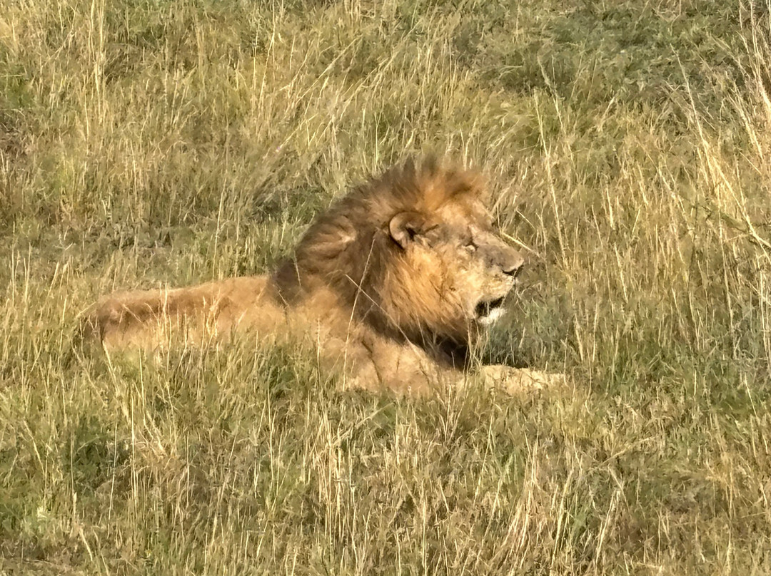 Tanzania-Experience-阿鲁沙必去景点
