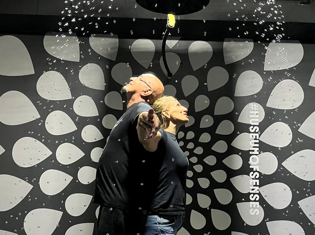 Museum of Senses Milano-米兰必去景点