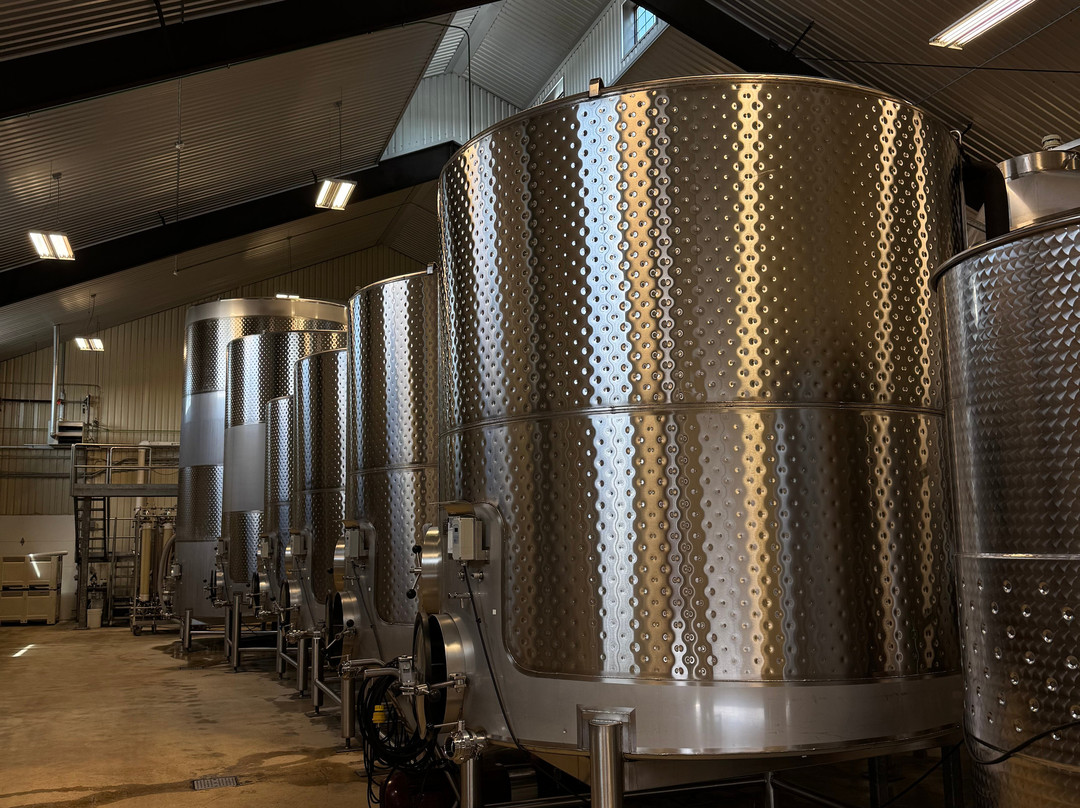 Grape Creek Vineyards Fredericksburg-弗雷德里克斯堡必去景点