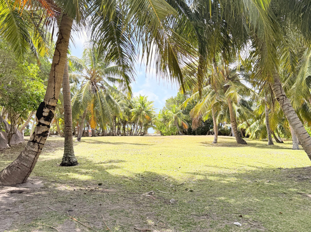 Zico Boat Excursions La Digue-La Passe必去景点