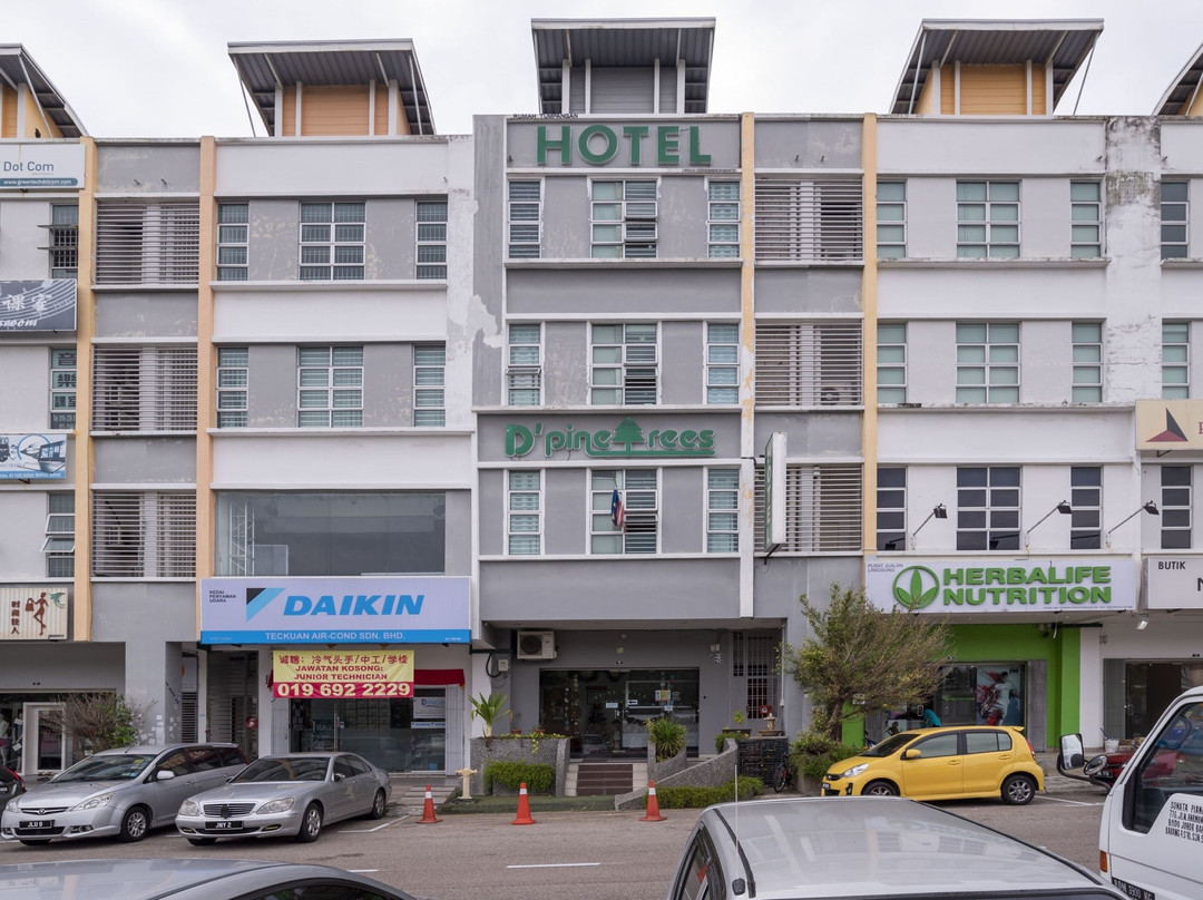 D松树酒店主图