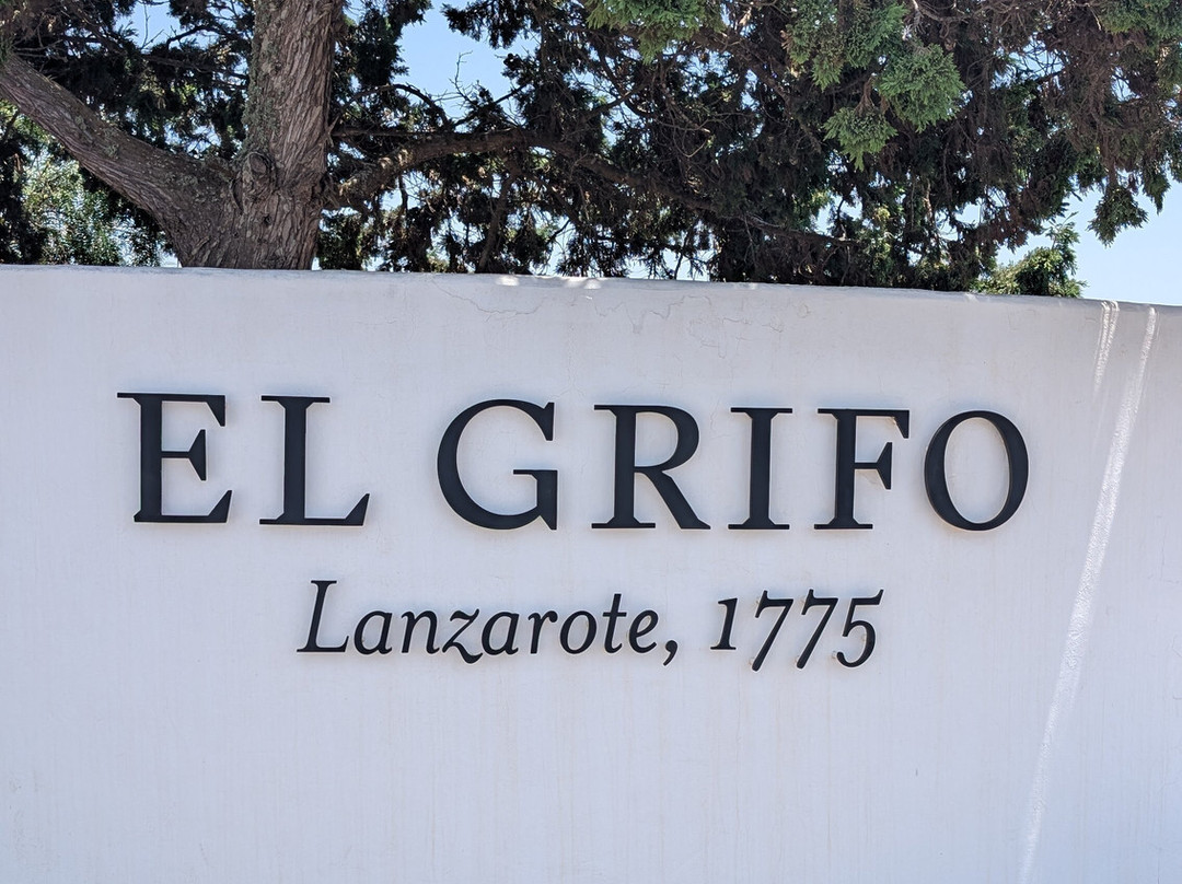 El Grifo - Museo del Vino-San Bartolome必去景点