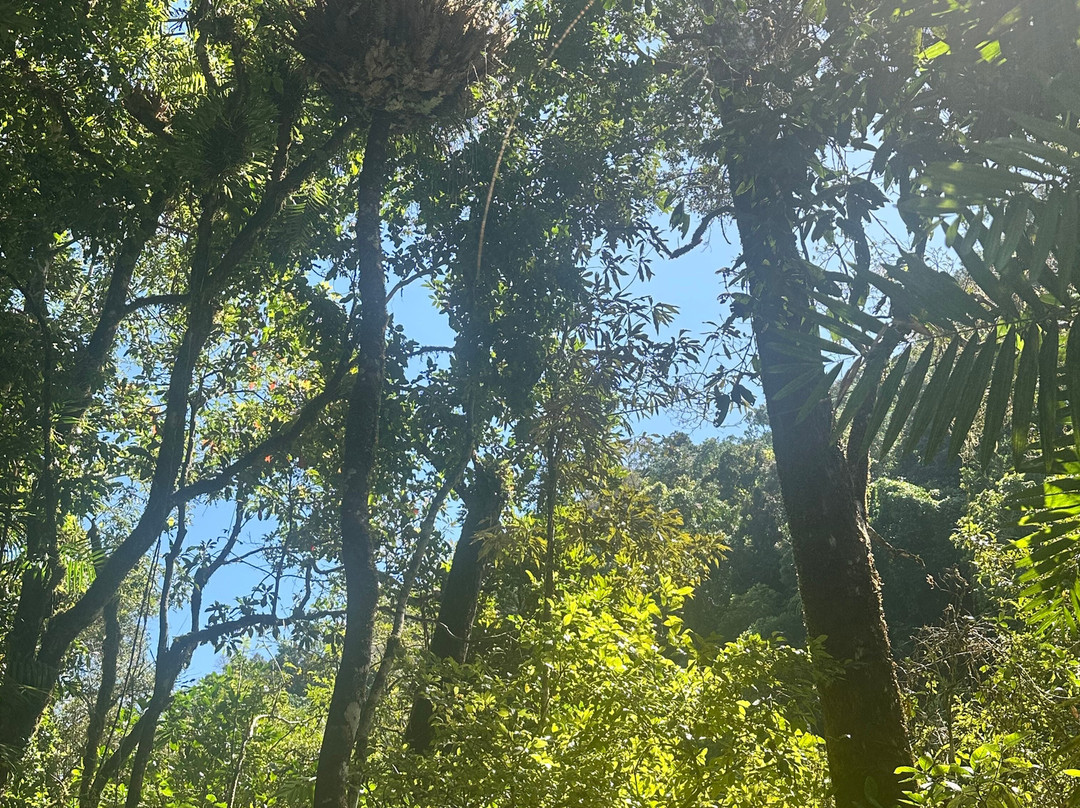 Mossman Gorge Cultural Centre-丹特里区必去景点