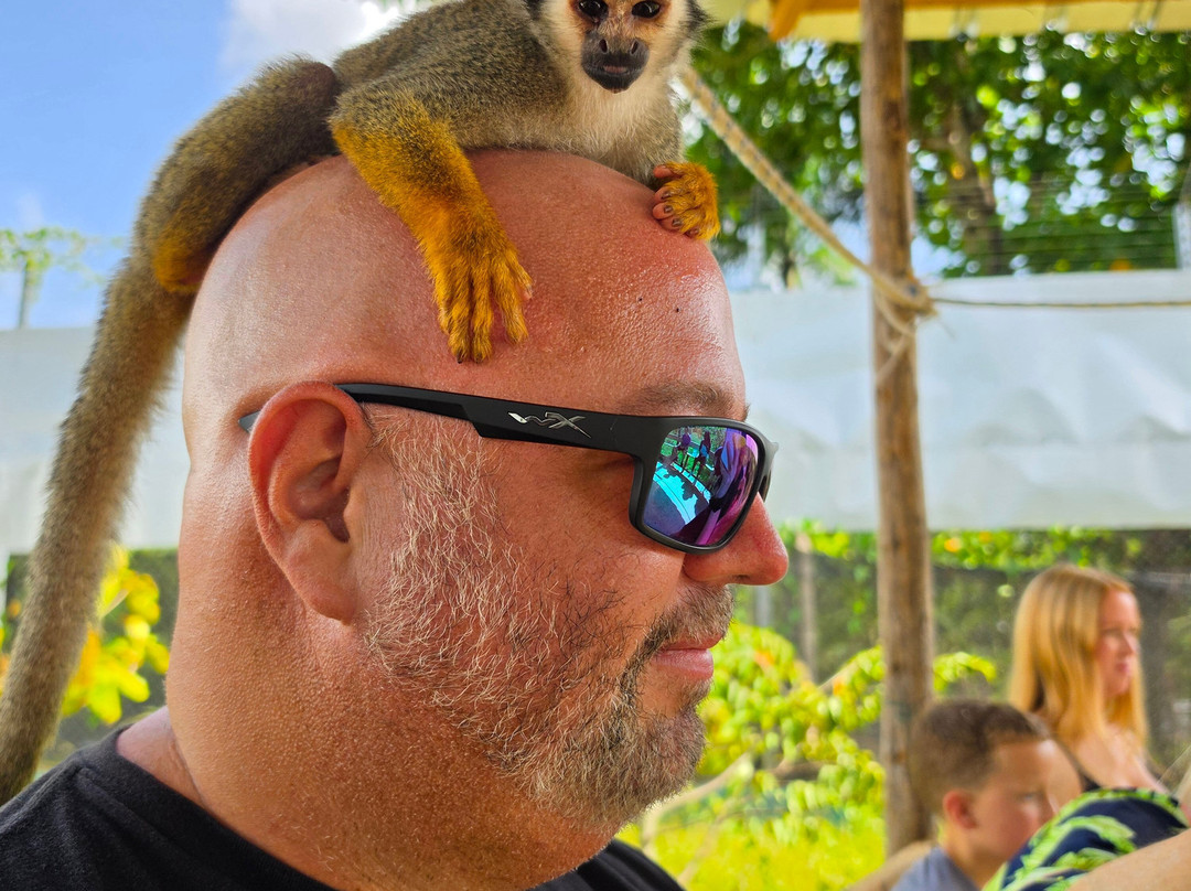 Monkey Home Puerto Plata-普拉塔港必去景点