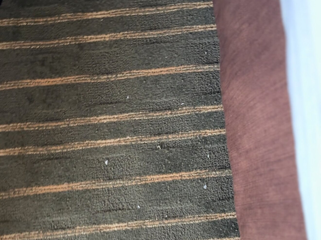 树屋贝斯特韦斯特优质酒店主图