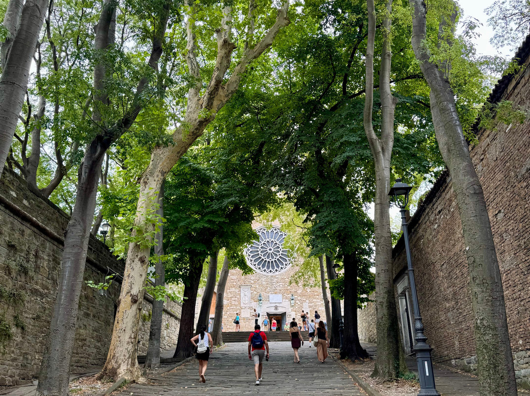 Cattedrale di San Giusto Martire-的里雅斯特必去景点