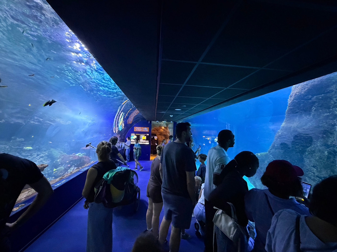 Aquarium de Biarritz-比亚里茨必去景点