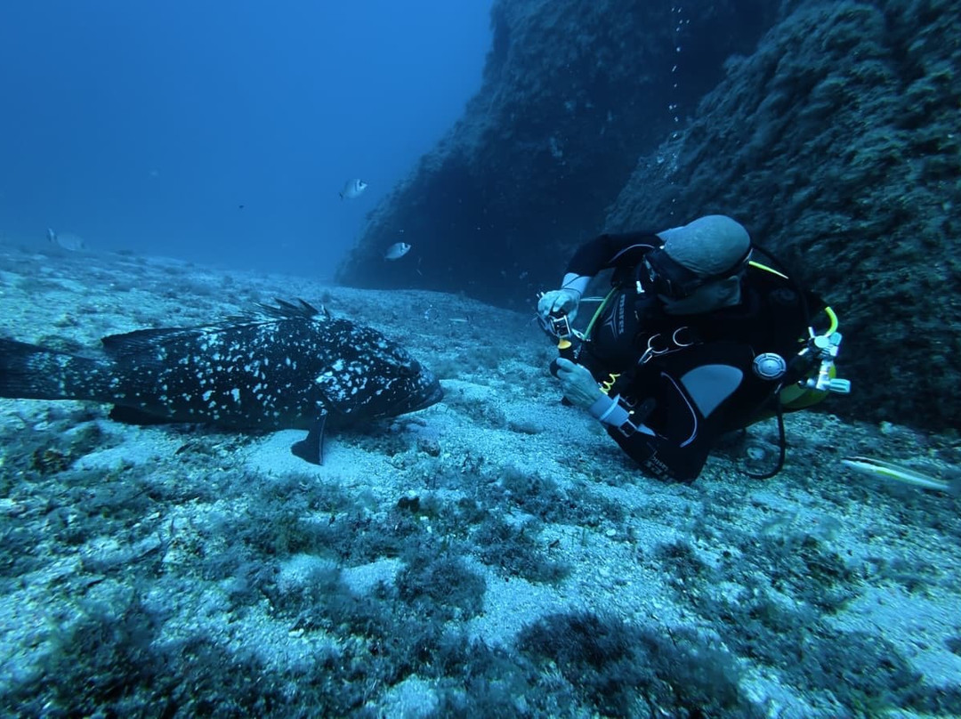 Blu Dive Center-圣特雷莎加卢拉必去景点