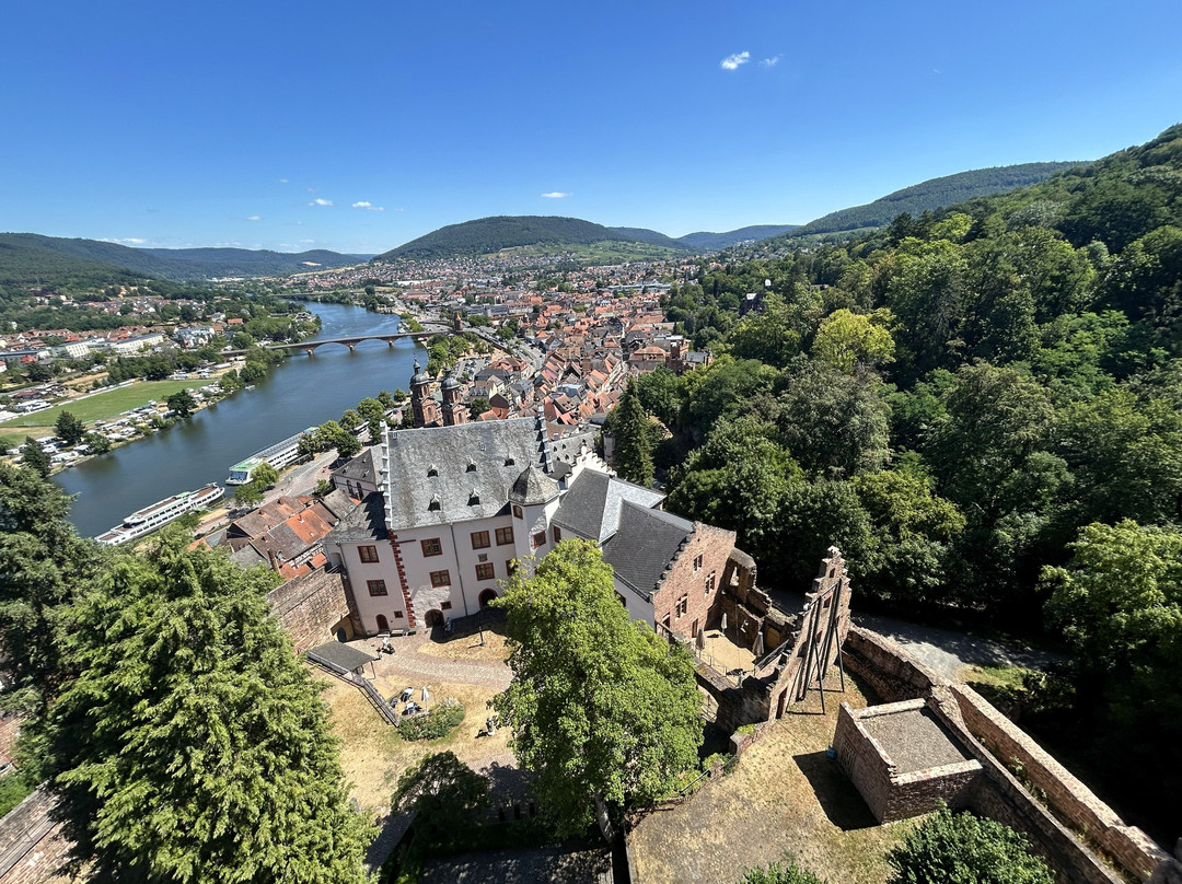Miltenberg Castle Museum-米尔腾贝格必去景点