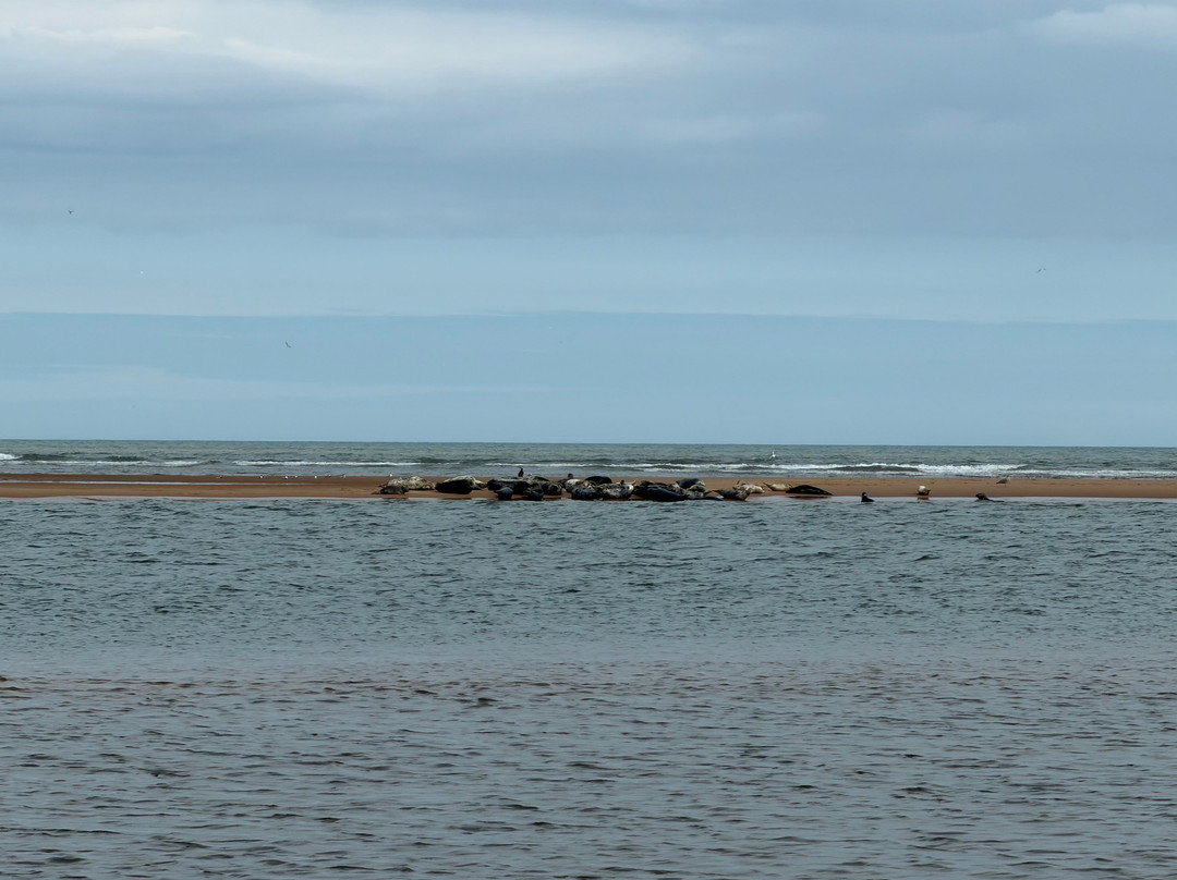 Newburgh Seals Beach-Newburgh必去景点