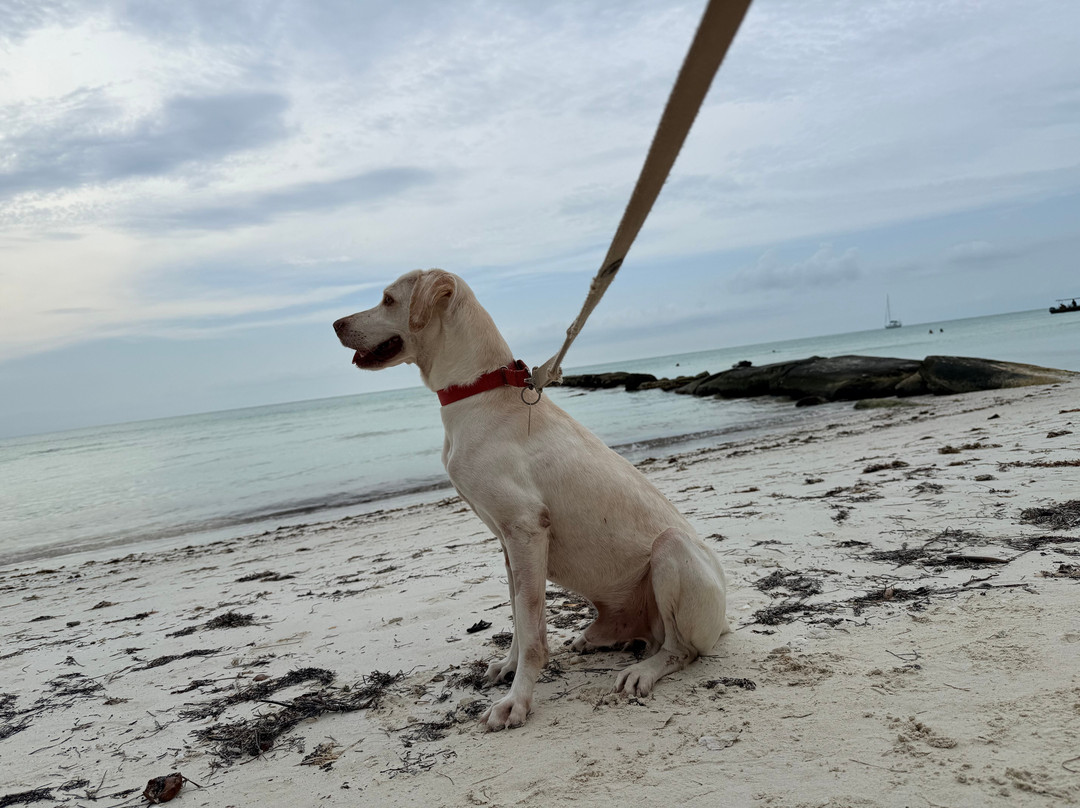 Refugio Holbox-Holbox Island必去景点