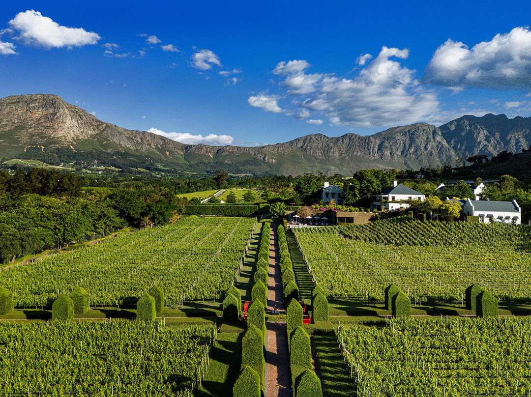 Mullineux & Leeu Family Wines-法兰舒克必去景点