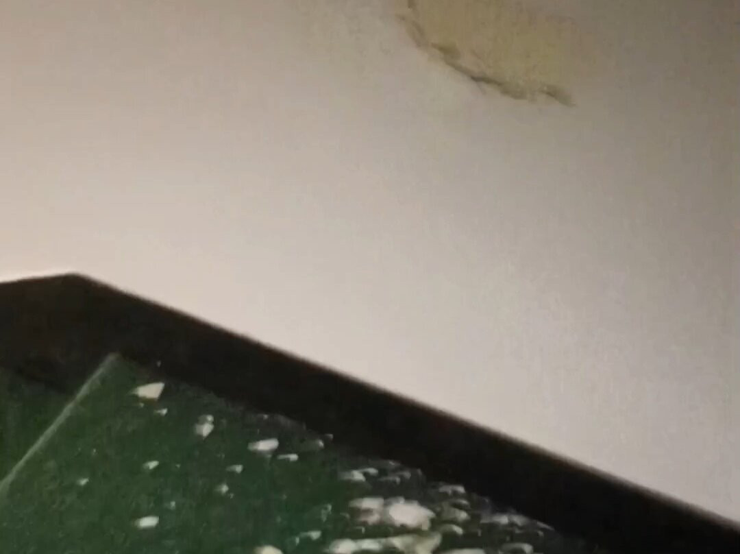 斯拉沃尼哈酒店主图