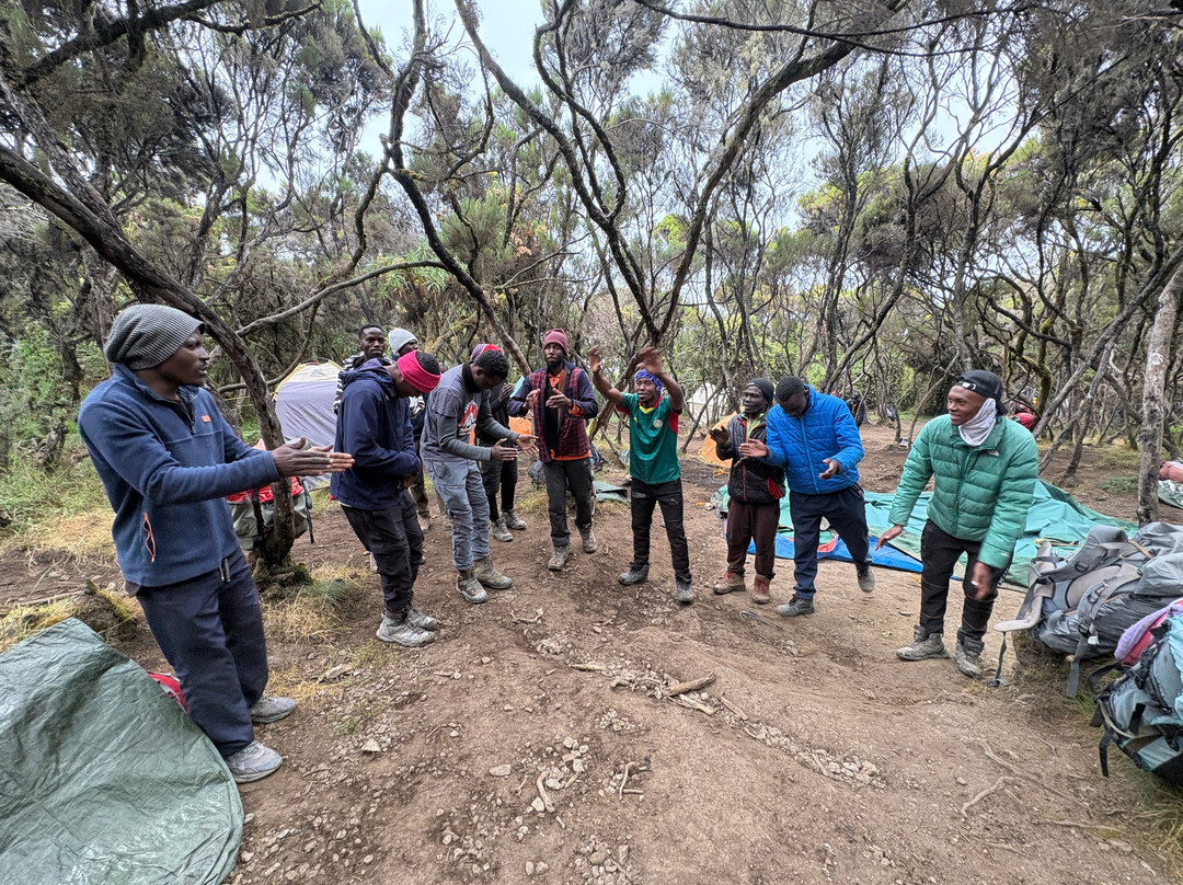 Kilimanjaro On Foot-阿鲁沙必去景点