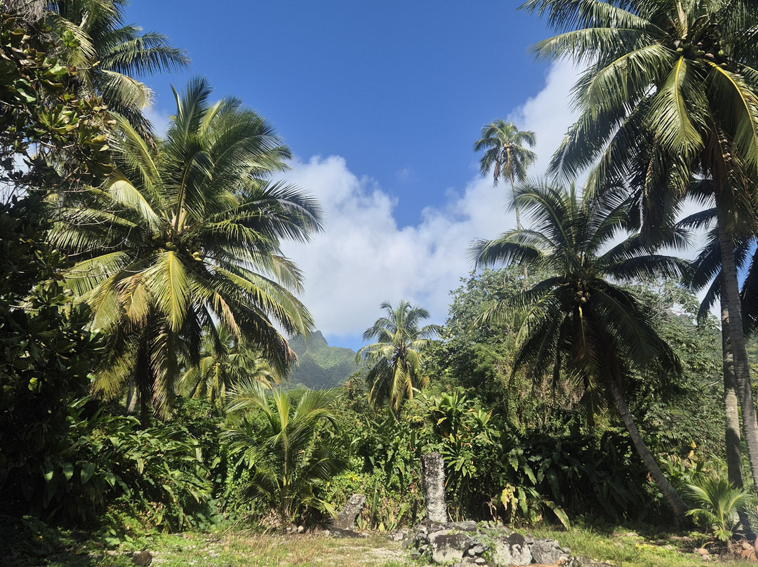 Raro Mountain Safari Tour-拉罗汤加必去景点