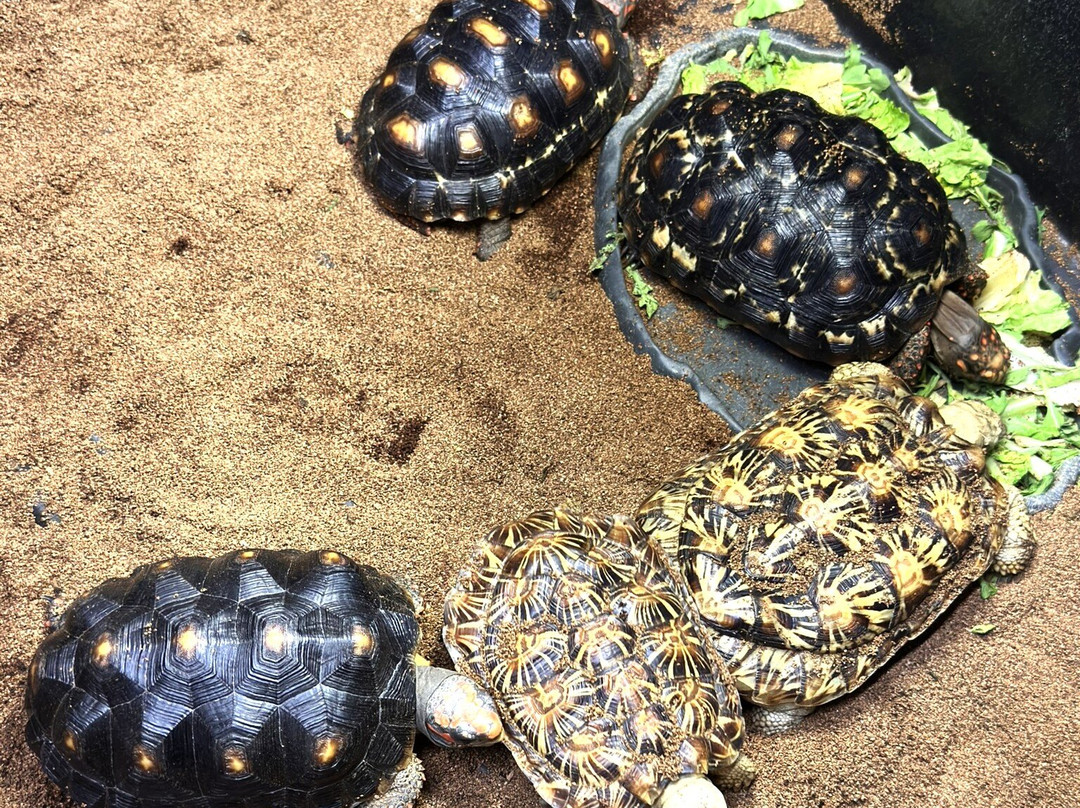 McCarthy's Wildlife Sanctuary-西棕榈滩必去景点