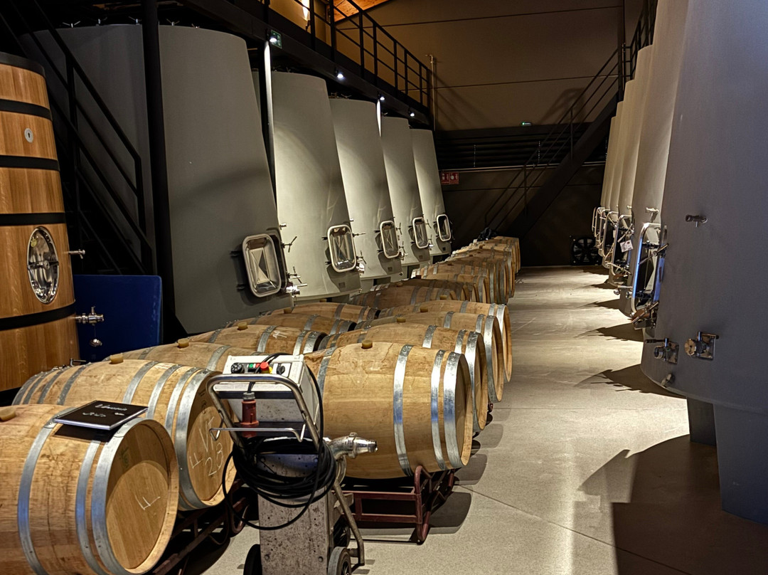 Bodegas y Vinedos Gomez Cruzado-哈罗必去景点