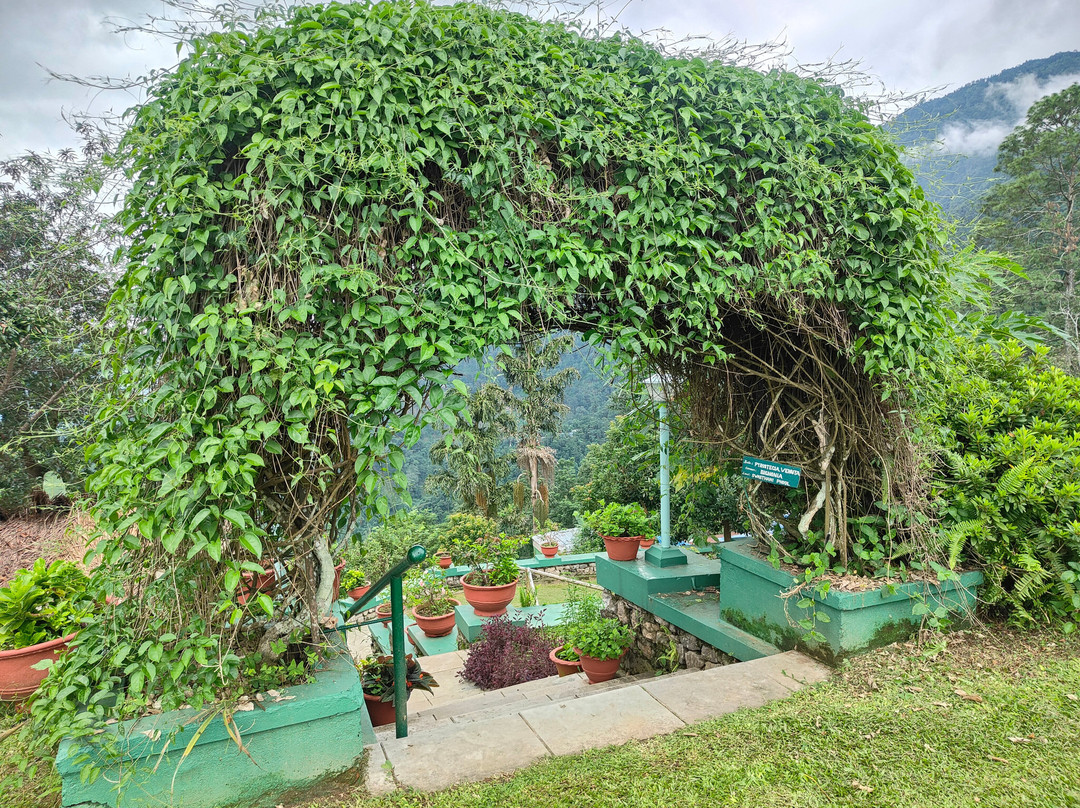 Glenburn Tea Estate主图
