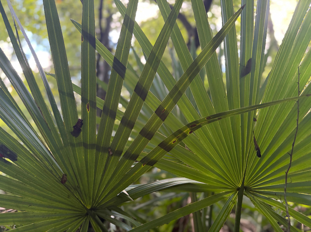Florida Caverns State Park-Marianna必去景点