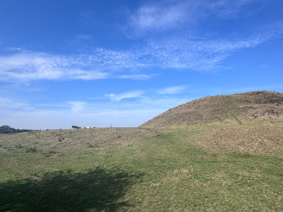 Skipsea Castle-Skipsea必去景点