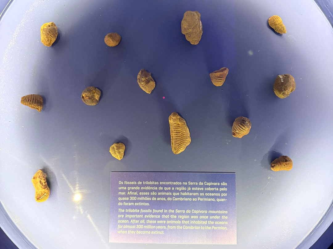 Museu da Natureza-Coronel Jose Dias必去景点