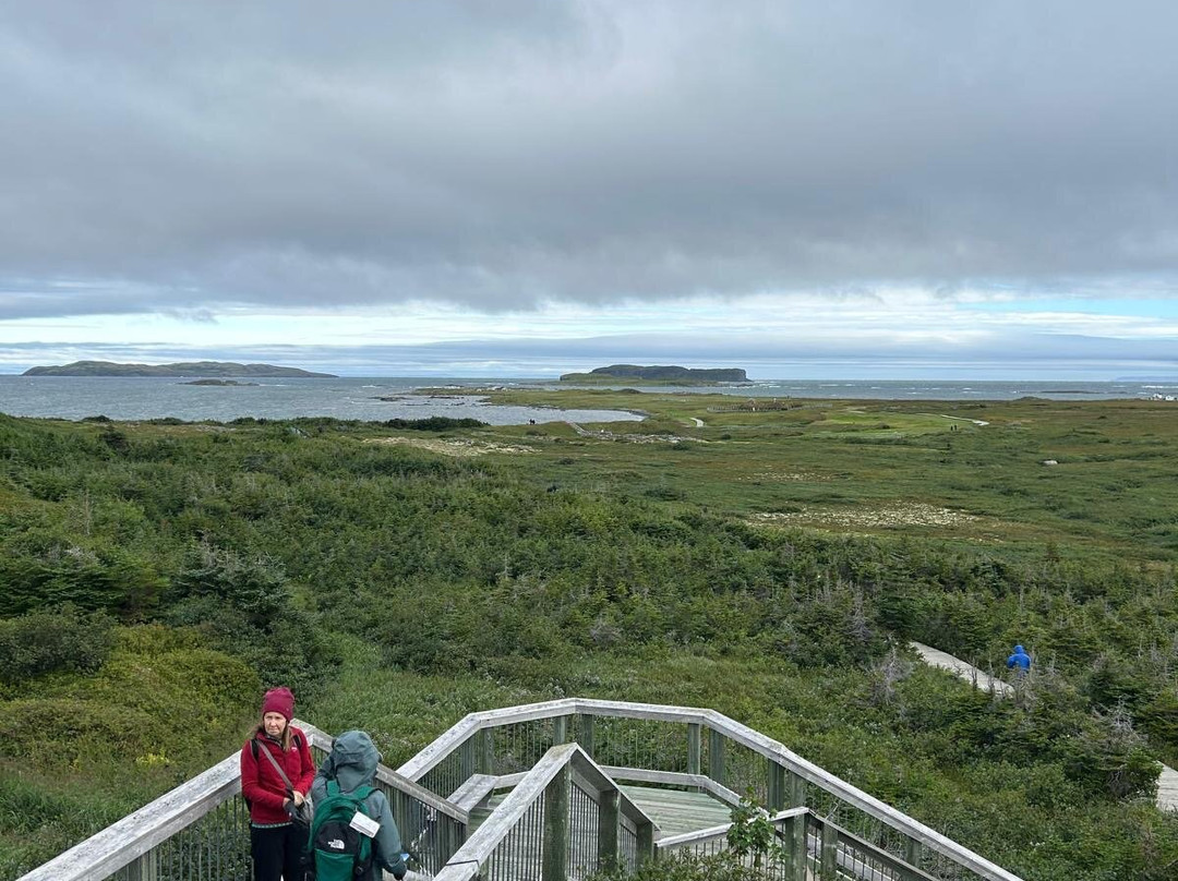 L'Anse Aux Meadows National Historic Site-L'Anse aux Meadows必去景点