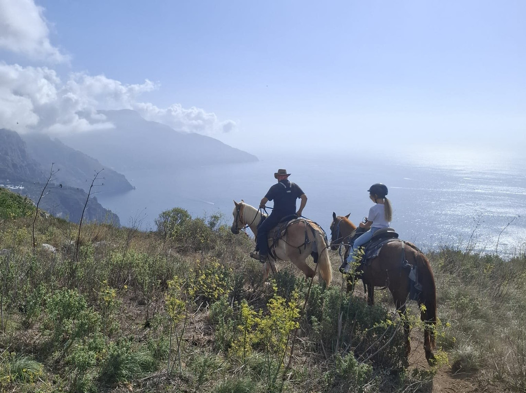 Horse Horizons (Orizzonti a cavallo)-马萨卢布伦塞必去景点