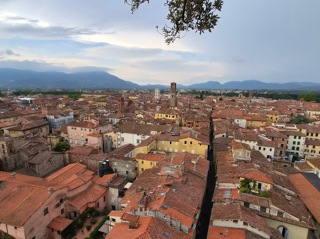 Lucca Tours-卢卡必去景点