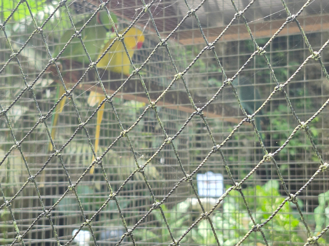 Harrison's Cave Eco-Adventure Park-Saint Thomas Parish必去景点