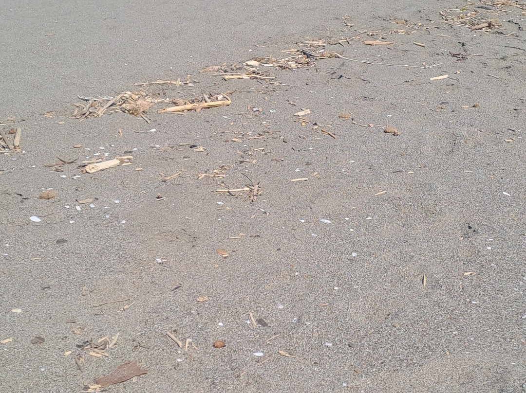 Ultima Spiaggia-Capalbio必去景点